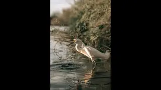 POV Photography at Riparian