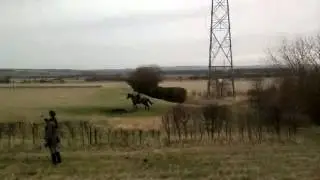 Tom Regis on Tosca jumping hedge 2