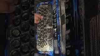 Adorno de segunda de FA acordeon de fa facil bonito pedraza italian accordion FBE  #shorts