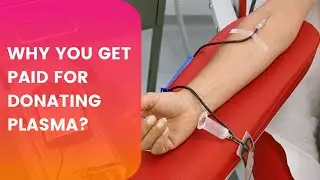Why You Get Paid for Donating Plasma