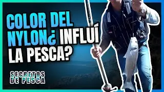 🧵Color del NYLON ¿influye en la  jornada de PESCA?🎣