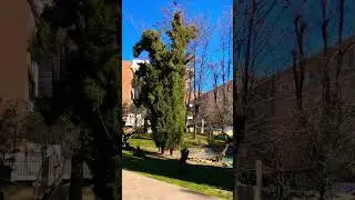 Los Olivos Park in Algete, Madrid 🇪🇸