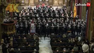 Concierto de la 