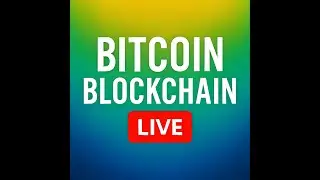 Bitcoin Blockchain Live - Every Transaction, Every Second