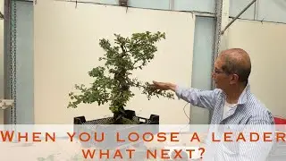 When you loose a Leader   see what happens