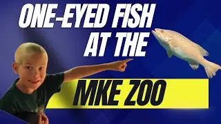Our Milwaukee Zoo Adventure | Red Pandas, Trains, and a One-Eyed Fish