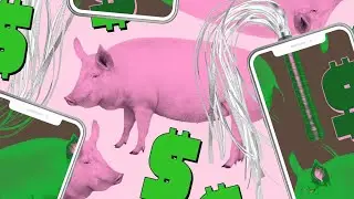 PayPigs DON'T EXIST in Financial Domination&hellip;3 Signs YOUR GETTING SCAMMED