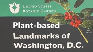 U.S. Botanic Garden plant-based models of landmarks of Washington DC