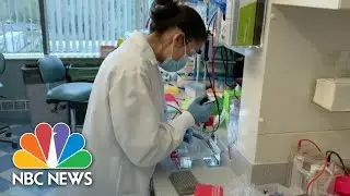 How Does Experimental Covid-19 Treatment Trump Received Work? | NBC News