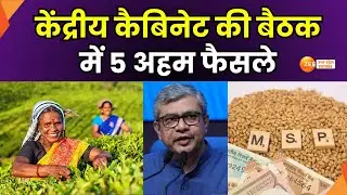 Cabinet Decisions : केंद्रीय कैबिनेट की बैठक मेंअहम फैसले, किसानों के लिए केंद्र सरकार का बड़ा फैसला