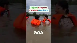 Best Kayaking Spots Just 30 Minutes from Baga and Calangute, Goa!