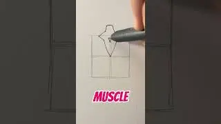 How to draw back side muscle || Jmarron