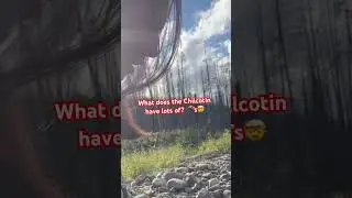Soo many bugs #bugs #mosquito #mosquitobites #itchy #scratchy #bites #bugbites #chilcotin #creeside