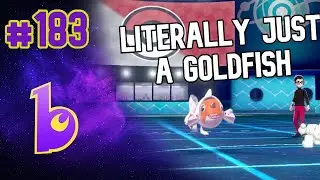 Trying a ladder-topping team with SEAKING! | Pok&eacute;mon VGC 2022 Series 12 | The Ranked Report #183