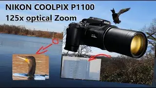 Nikon Coolpix P1100 | 125x Optical Zoom Test - incredible results