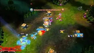 Dongers  Dongers everywhere  HD