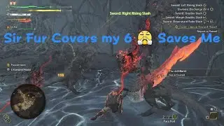 Monster Hunter Wilds Rare Endimic Life 😂 Sir Fur Becomes Main Character!!