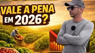 ☕ Ainda Vale a Pena Plantar Café em 2026? A Verdade!
