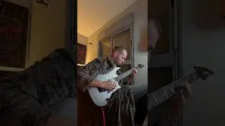 Periphery - Blood Eagle Guitar Solo #guitar #guitarcover  #guitarsolo
