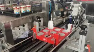 FAT test run small cup 9 case packing machine