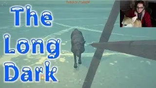 How NOT to Kill 4 Wolves with 1 Arrow and a Corgi in The Long Dark [Pls Ignore the Bullet]