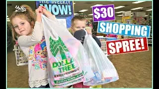 $30 Dollar Tree Shopping Spree with Journey and Talon!