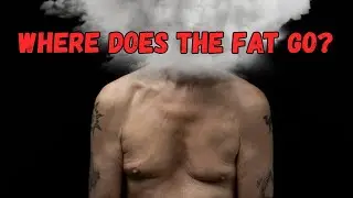When You Lose Weight, Where Does The Fat Go? Shocking truth