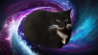 Kitty Disco