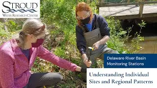 Delaware River Basin Monitoring Stations: Understanding Individual Sites and Regional Patterns
