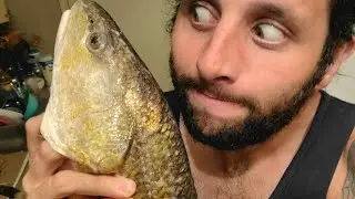 Clean and cook redfish! (super easy delicious recipe)