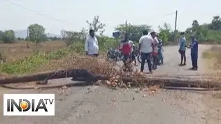 People in AP's village block road with tree logs to restrict entry amid coronavirus outbreak