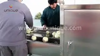 Onion peeling and root cutting machine