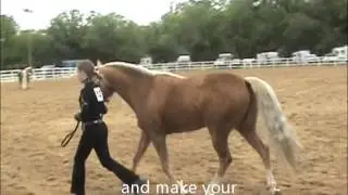 Colors of the Wind Horse Farm