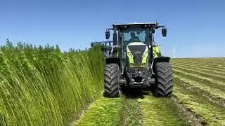 2022 R&eacute;colte Chanvre Aube France - Application textiles
