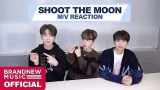 BDC 'SHOOT THE MOON' M/V REACTION