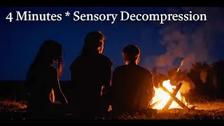 4 Minutes to Calm the Primate Brain: A Sensory Decompression