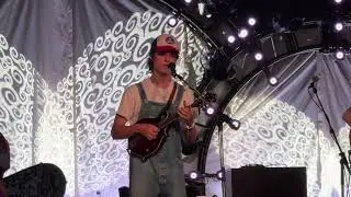 Mountain Grass Unit - Boxcar - Delfest 2024 - RedDaisySportingClub POV