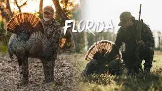 Two CLASSIC Florida Turkey HUNTS! Kickoff to Spring 2025
