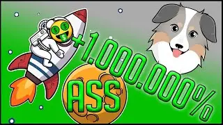 How to buy Australian Safe Shepherd (ASS) Coin on PancakeSwap with MetaMask Wallet