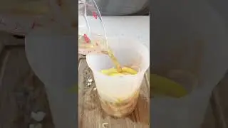 Let&rsquo;s Make Pickled Shrimp- Pt 1/2 #shrimp #seafood
