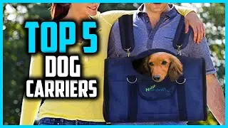 ✅Top 5 Best Dog Carriers of 2025
