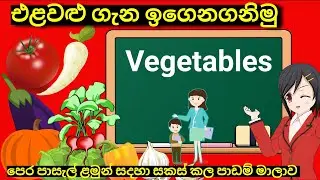 එළවළු වර්ග හදුනා ගනිමු/Sanduni Teacher/ Vegetables names for kids