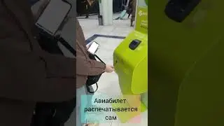 Как распечатать посадочный талон на самолет в терминале ?