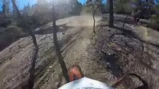 Trail Therapy - No Asbestos