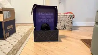 Box Skill #10: Stay for the Photo. Next stop: Vogue🐱