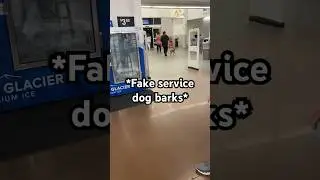 #драма #божемой #новости #вирусный #fyp #fakeservicedog #servicedog #walmart #подписка #разоблаче...