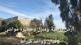 الأرض مسجله والبيت دورين وفيه شقتين لوكس وقريبة جدا من الطريق والرى غمرسعر 3مليون وغير قابل للتفاوض