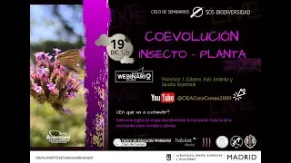 Webinario: Coevolución insecto- planta