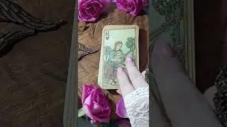Oracle of the Middle Ages Review and Unboxing #tarotreview #tarot