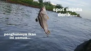 Spot Sejuta Ikan Derik !!!!!!!!!!!